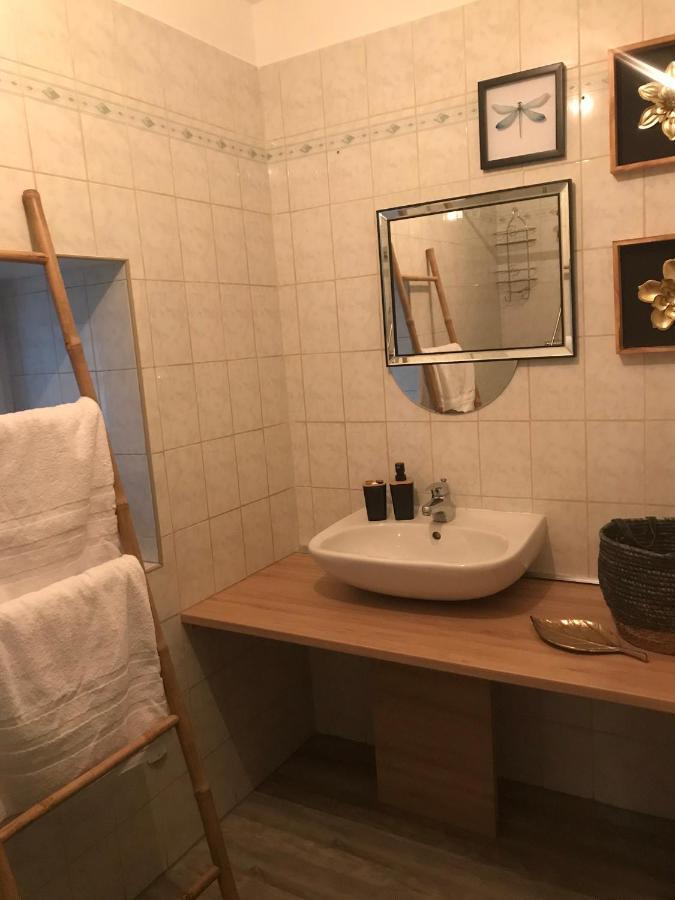 Appartement Cosy Le Safari Avec Wifi Annonay Εξωτερικό φωτογραφία