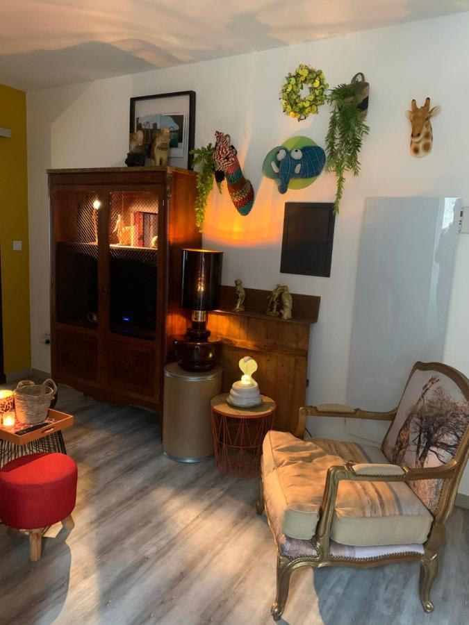 Appartement Cosy Le Safari Avec Wifi Annonay Εξωτερικό φωτογραφία