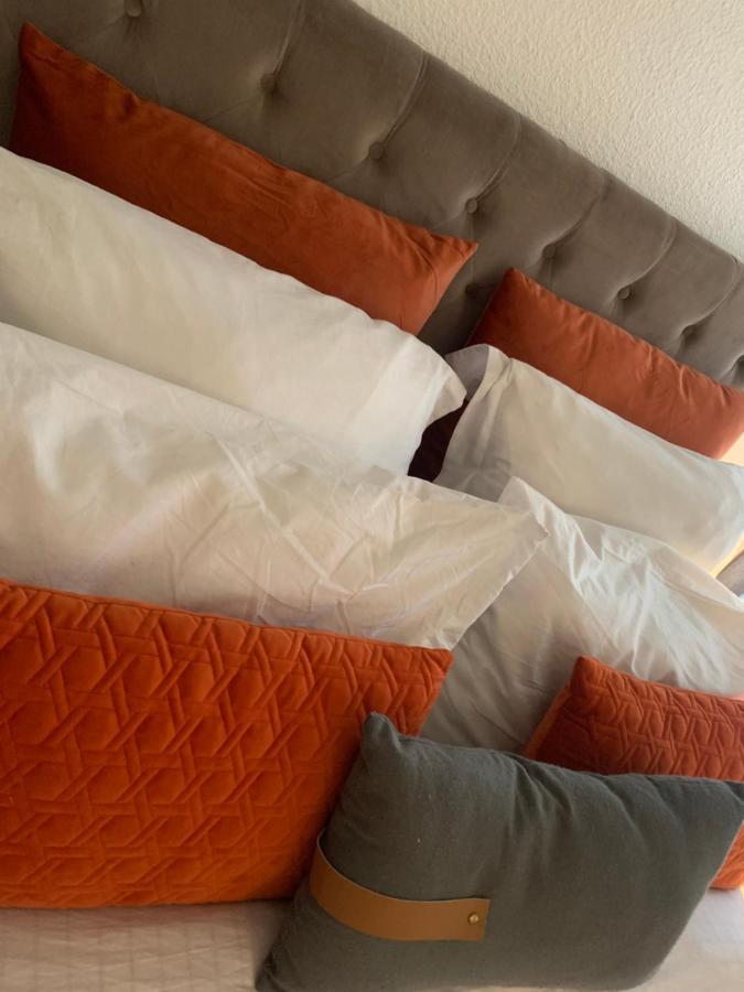 Appartement Cosy Le Safari Avec Wifi Annonay Εξωτερικό φωτογραφία